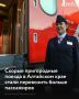 Скорые пригородные поезда Алтайского края в первом полугодии 2026 года перевезли более 530 тысяч пассажиров