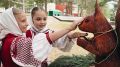 Образцовый детский коллектив Алтайского края – победитель федерального этапа XI Всероссийского детского фестиваля народной культуры «Наследники традиций» Образцовый детский коллектив Алтайского края фольклорный ансамбль...