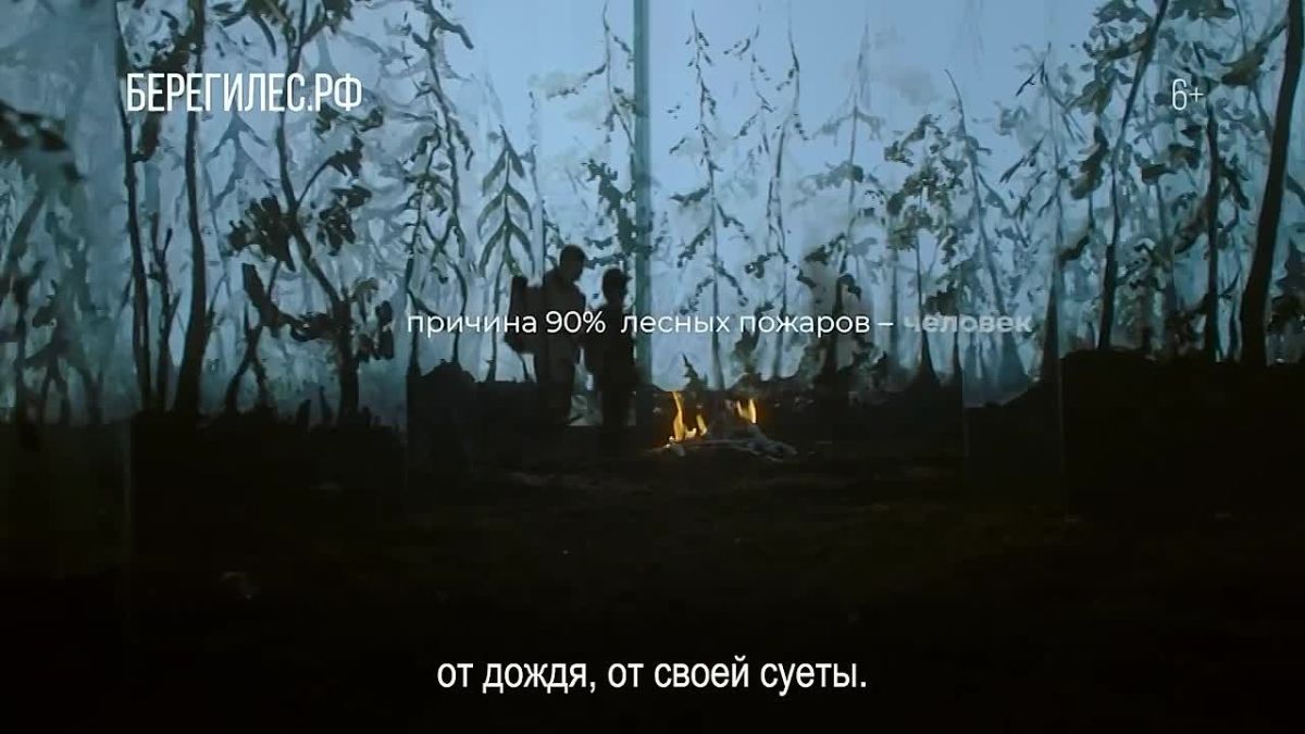 В видео ясно показано, какой вред лесу может нанести беспечное отношение человека: оставленный мусор нарушает хрупкую экосистему, а плохо затушенный костёр способен навсегда уничтожить лес