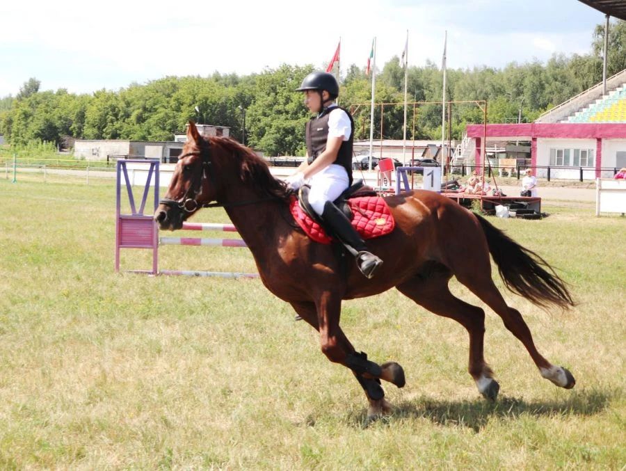 В Барнауле состоялись чемпионат и первенство края по конкуру В Барнауле состоялись чемпионат и первенство края по конкуру