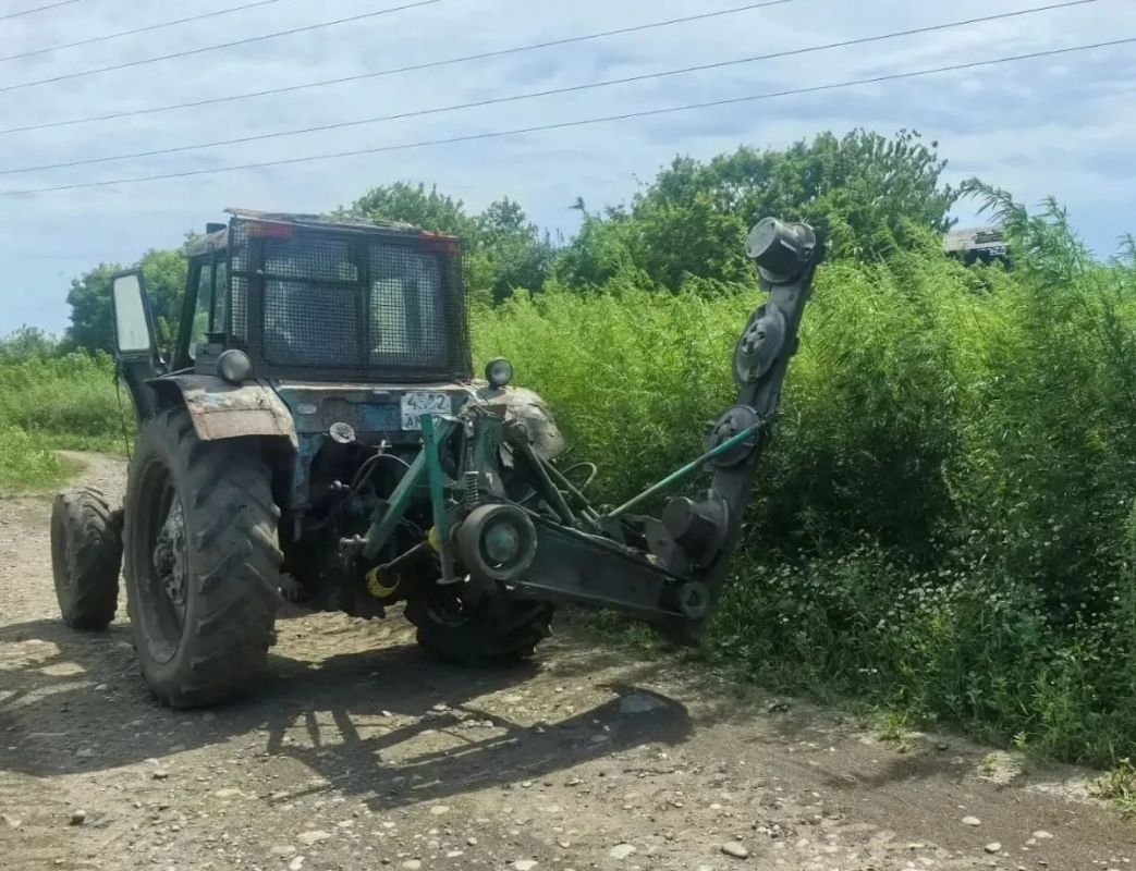 Полицейские Бийского района выявили порядка одного гектара дикорастущей конопли в рамках операции «Мак-2026» Полицейские Бийского района выявили порядка одного гектара дикорастущей конопли в рамках операции «Мак-2026»