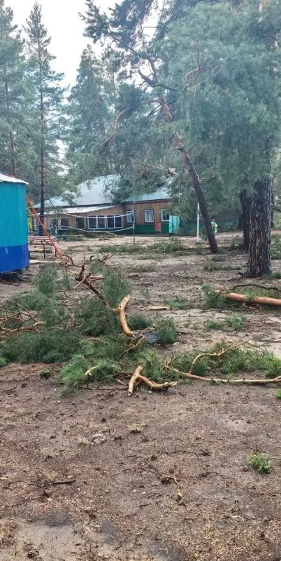 Детей эвакуировали из детского лагеря «Салют» под Рубцовском Детей эвакуировали из детского лагеря «Салют» под Рубцовском