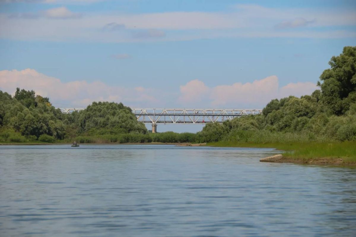 В последнее время в Барнауле много говорят о Ковше В последнее время в Барнауле много говорят о Ковше