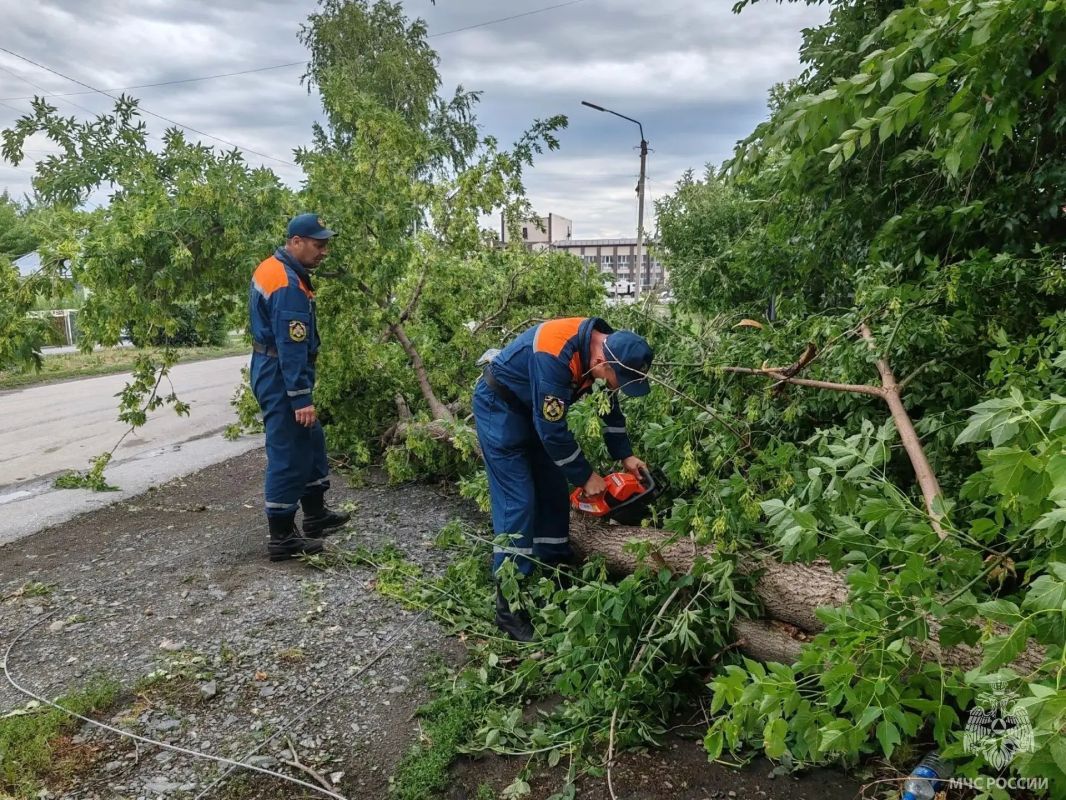 Кадры из райцентра Краснощёково, где накануне бушевала непогода Кадры из райцентра Краснощёково, где накануне бушевала непогода
