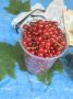 Красное и черное. Смородину продают на уличных базарах в Барнауле