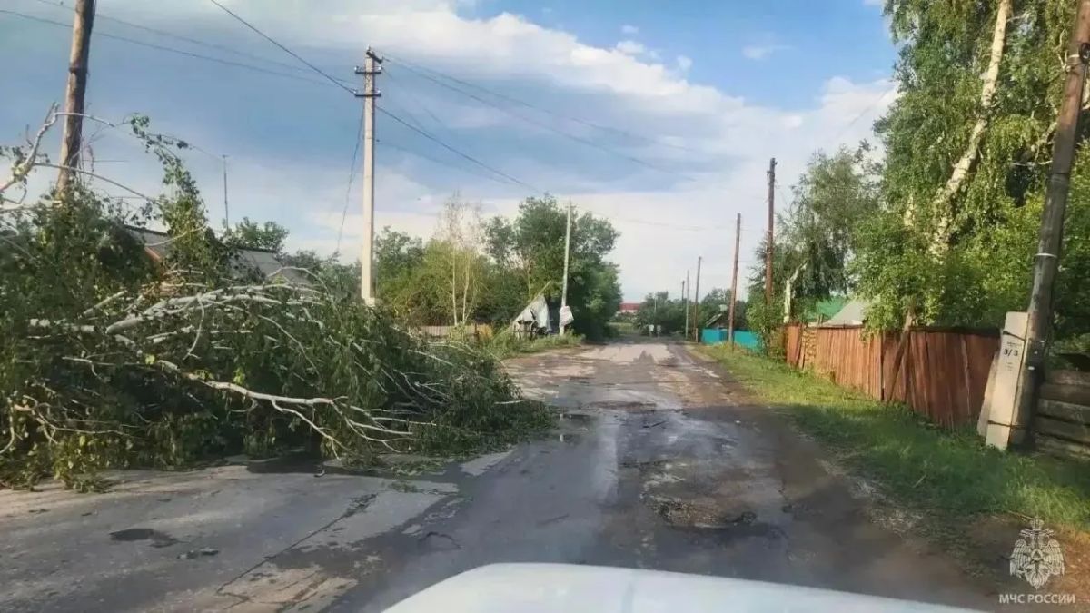 Больше шести тысяч домов в Алтайском крае осталось без света из-за урагана и ливней