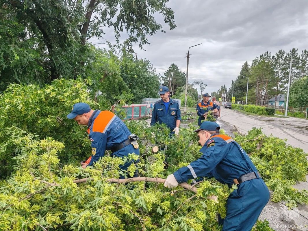 Кадры из райцентра Краснощёково, где накануне бушевала непогода Кадры из райцентра Краснощёково, где накануне бушевала непогода