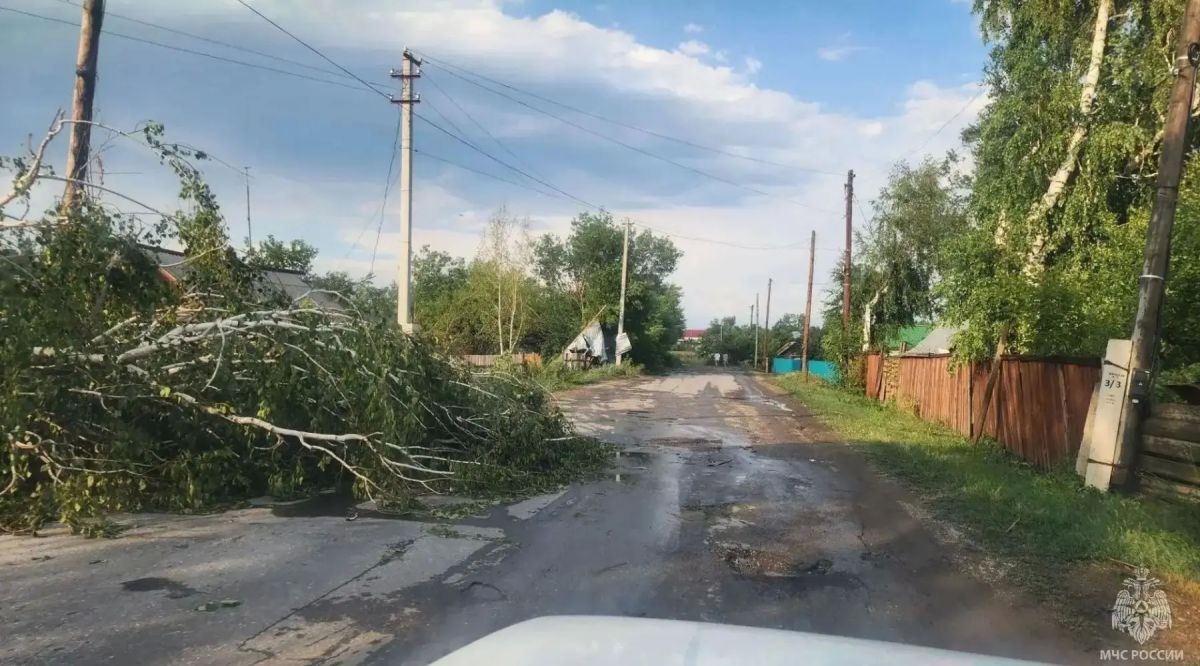 Согласно графику: какие дороги ремонтируют в Бийске и где работы уже завершены Согласно графику: какие дороги ремонтируют в Бийске и где работы уже завершены