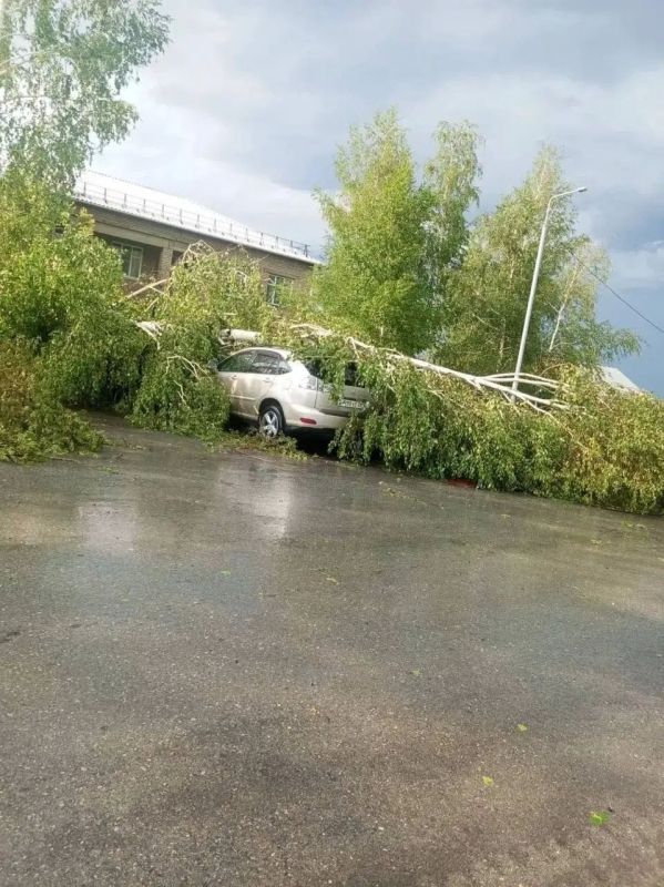Жители села Краснощёково пережили настоящий апокалипсис Жители села Краснощёково пережили настоящий апокалипсис