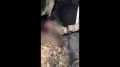 Мигрант из Закавказья получил 15 лет колонии строгого режима за попытку поджога храма в Барнауле