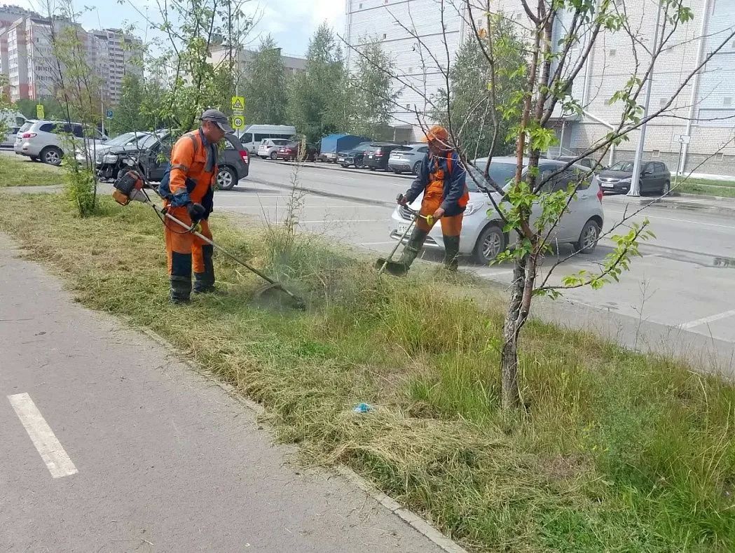 МБУ «Автодорстрой» продолжает покос травы вдоль обочин дорог МБУ «Автодорстрой» продолжает покос травы вдоль обочин дорог