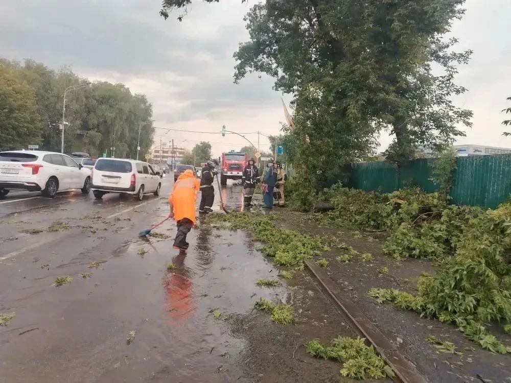 В Барнауле ликвидируют последствия непогоды В Барнауле ликвидируют последствия непогоды