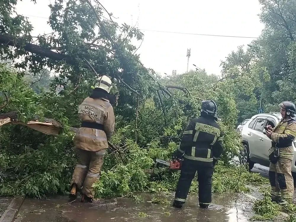 В Барнауле ликвидируют последствия непогоды В Барнауле ликвидируют последствия непогоды