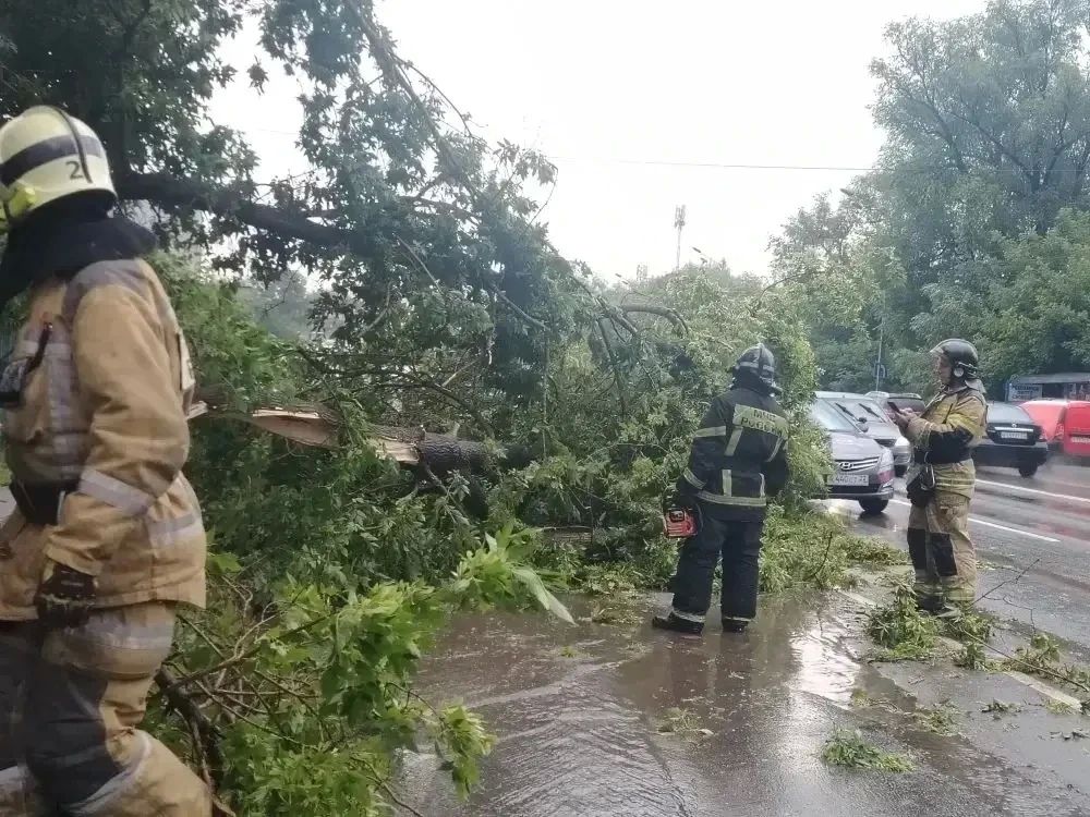 В Барнауле ликвидируют последствия непогоды В Барнауле ликвидируют последствия непогоды