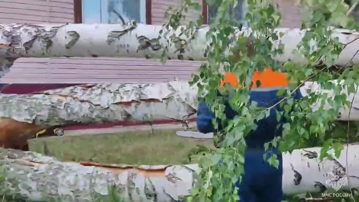 Кадры из Краснощековского района