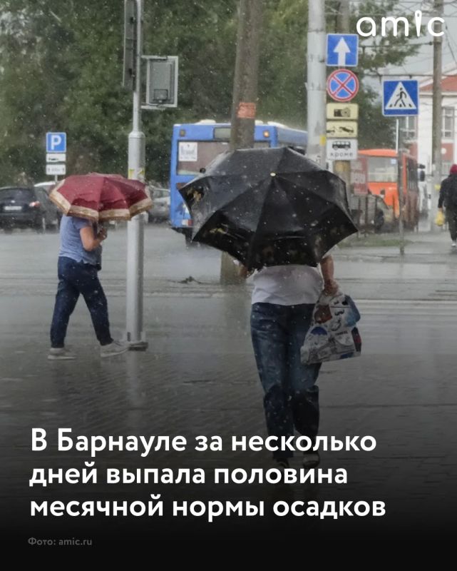 В Барнауле с 22 по 26 июля выпало 40,6 мм дождевых осадков, а с начала месяца — 75,6 мм. Это составляет 105% от месячной нормы в 72 мм, сообщает мэрия