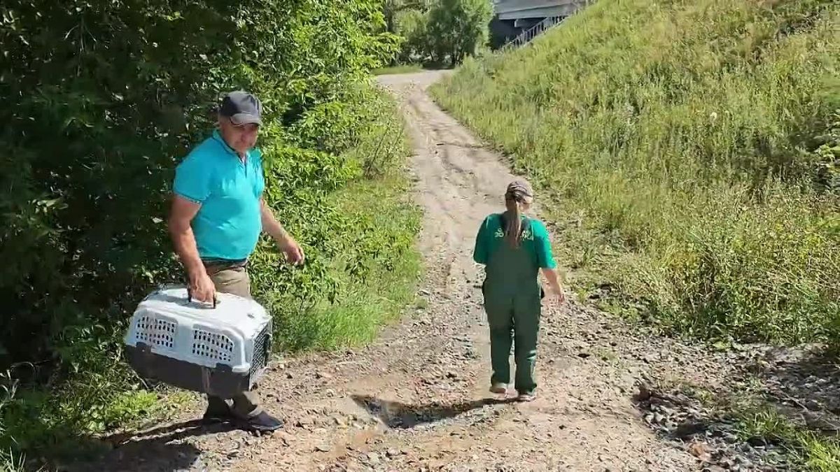 Из детского сада в Барнауле спасли напуганного малыша ондатры