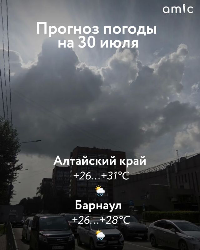 Доброе утро! Туман и дожди не отступят в Алтайском крае 30 июля