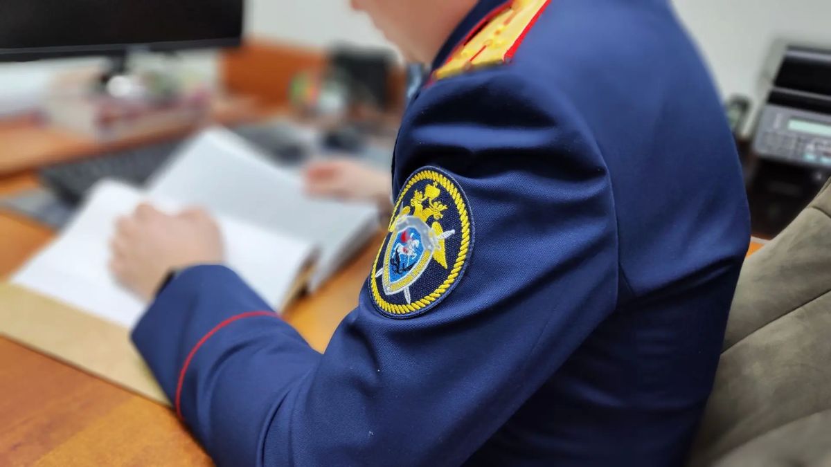 В городе Новоалтайске местная жительница предстанет перед судом по обвинению в покушении на убийство сожителя