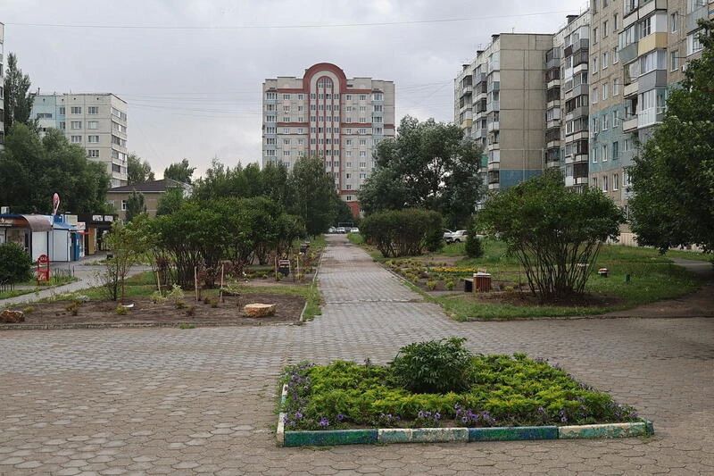 Природный камень и пучки кустарников Природный камень и пучки кустарников