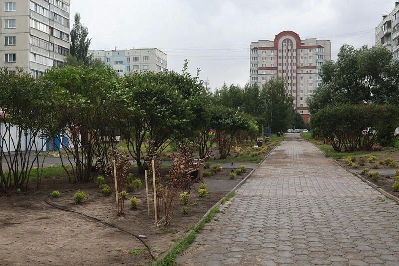 Природный камень и пучки кустарников Природный камень и пучки кустарников