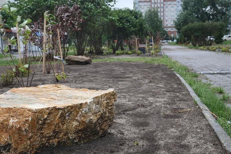 Природный камень и пучки кустарников Природный камень и пучки кустарников