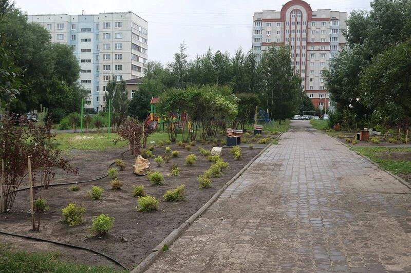 Природный камень и пучки кустарников Природный камень и пучки кустарников