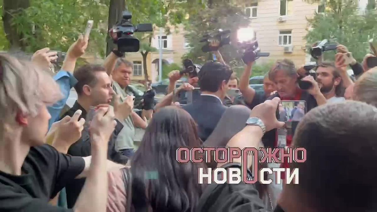 Блогера Лерчек приговорили к условному сроку и огромному штрафу