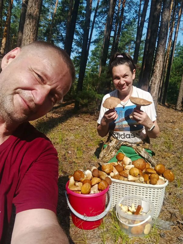 Грибники на этих выходных штурмовали леса Грибники на этих выходных штурмовали леса