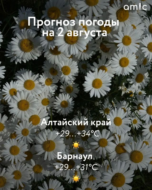 Доброе утро! О погоде в Алтайском крае 2 августа