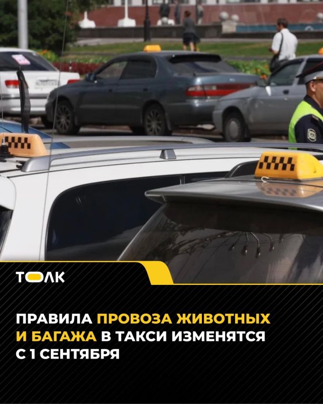 С 1 сентября в России изменятся правила перевозки багажа и животных в такси