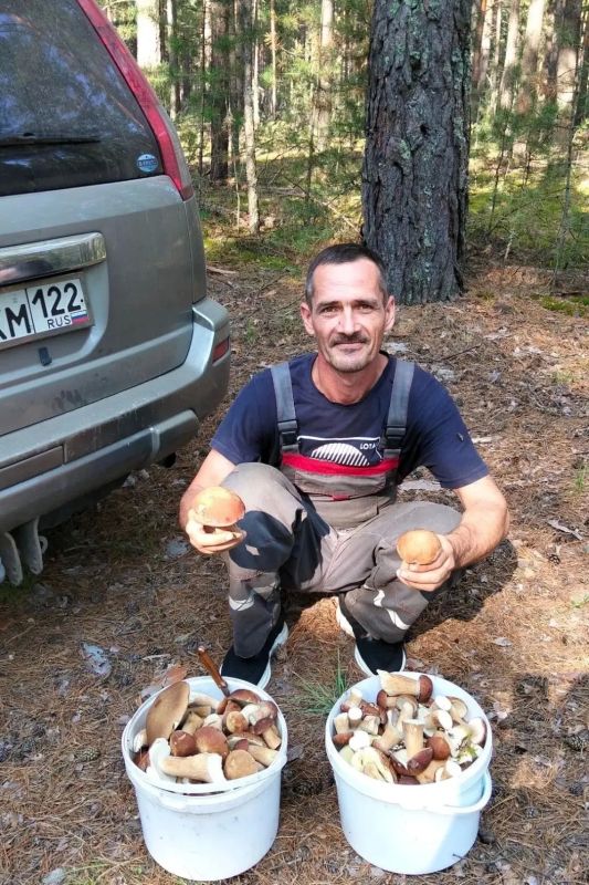Грибники на этих выходных штурмовали леса Грибники на этих выходных штурмовали леса