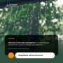 С 3 по 6 августа на территории Алтайского края прогнозируется непогода
