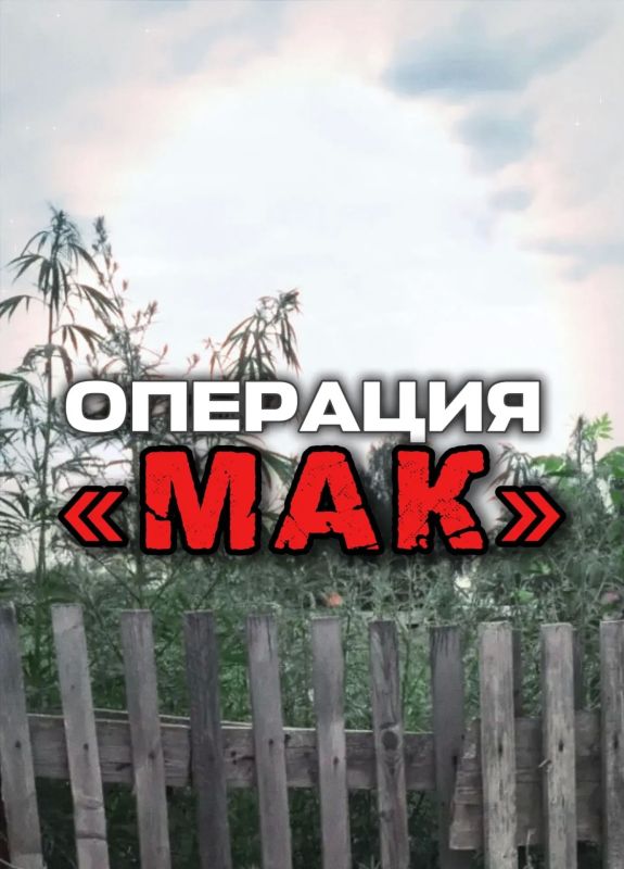 Профилактическая операция «Мак»