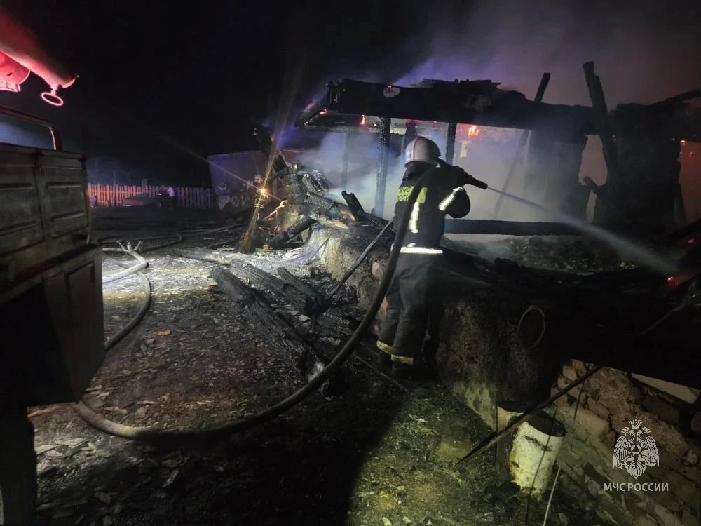 Крупный ночной пожар уничтожил склад с зерном в Алтайском крае Крупный ночной пожар уничтожил склад с зерном в Алтайском крае