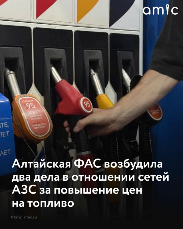 В Алтайском крае в действиях независимых участников розничного топливного рынка выявлены признаки нарушений Закона о защите конкуренции, сообщает региональная ФАС