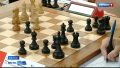 В Барнауле более 100 шахматистов со всей страны борются за выход в финал кубка России по классическим шахматам