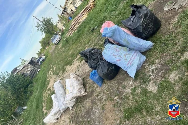 Оперативники обнаружили в одном из подсобных помещений свиноводческой фермы в Алтайском крае около 30 кг конопли