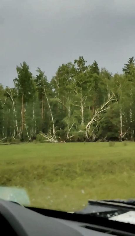 В Завьяловском и Мамонтовском районах Алтайского края прошёл сильный ураган В Завьяловском и Мамонтовском районах Алтайского края прошёл сильный ураган