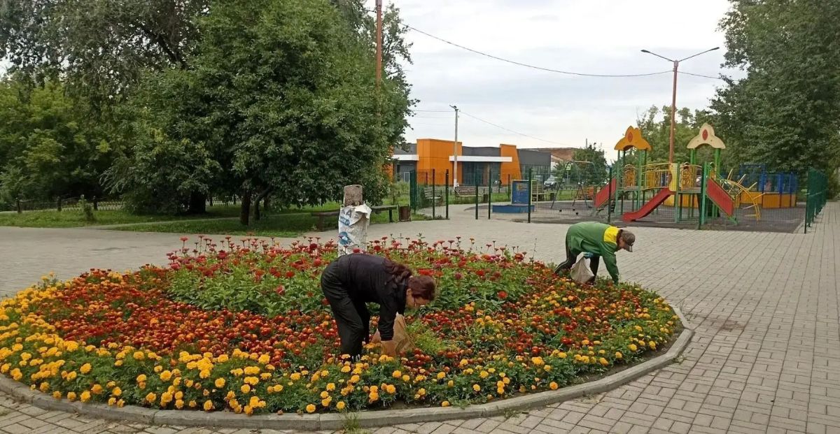 В Бийске продолжаются работы по благоустройству и ремонту городских территорий В Бийске продолжаются работы по благоустройству и ремонту городских территорий