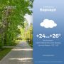 �� +26 �������� ����� � �������� 6 �������