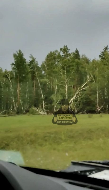 Сильный ураган прошелся по Завьяловскому и Мамонтовскому районам Алтайского края Сильный ураган прошелся по Завьяловскому и Мамонтовскому районам Алтайского края