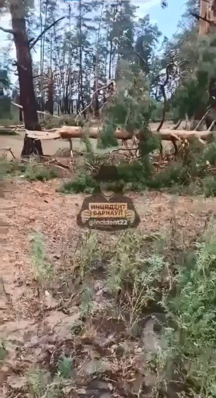 Ураган обрушился на село Вострово в Алтайском крае