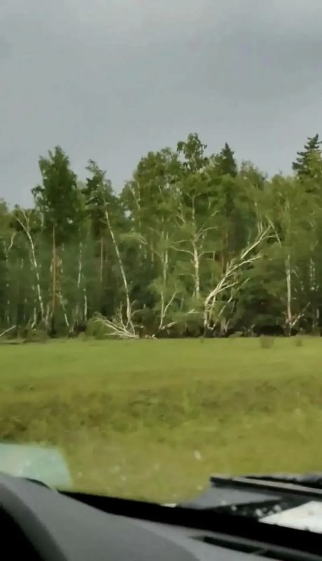 Ураган разрушил кровли зданий и снес деревья в Алтайском крае Ураган разрушил кровли зданий и снес деревья в Алтайском крае
