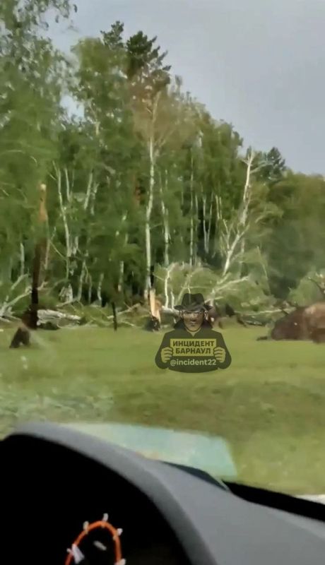 Сильный ураган прошелся по Завьяловскому и Мамонтовскому районам Алтайского края