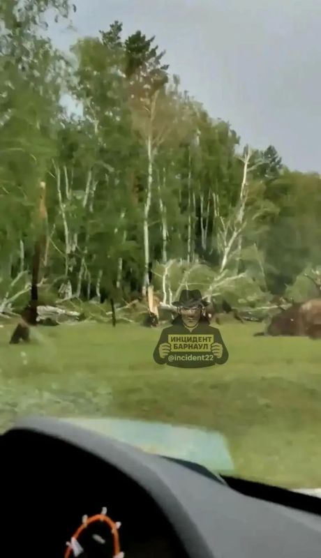 Ураган разрушил кровли зданий и снес деревья в Алтайском крае Ураган разрушил кровли зданий и снес деревья в Алтайском крае