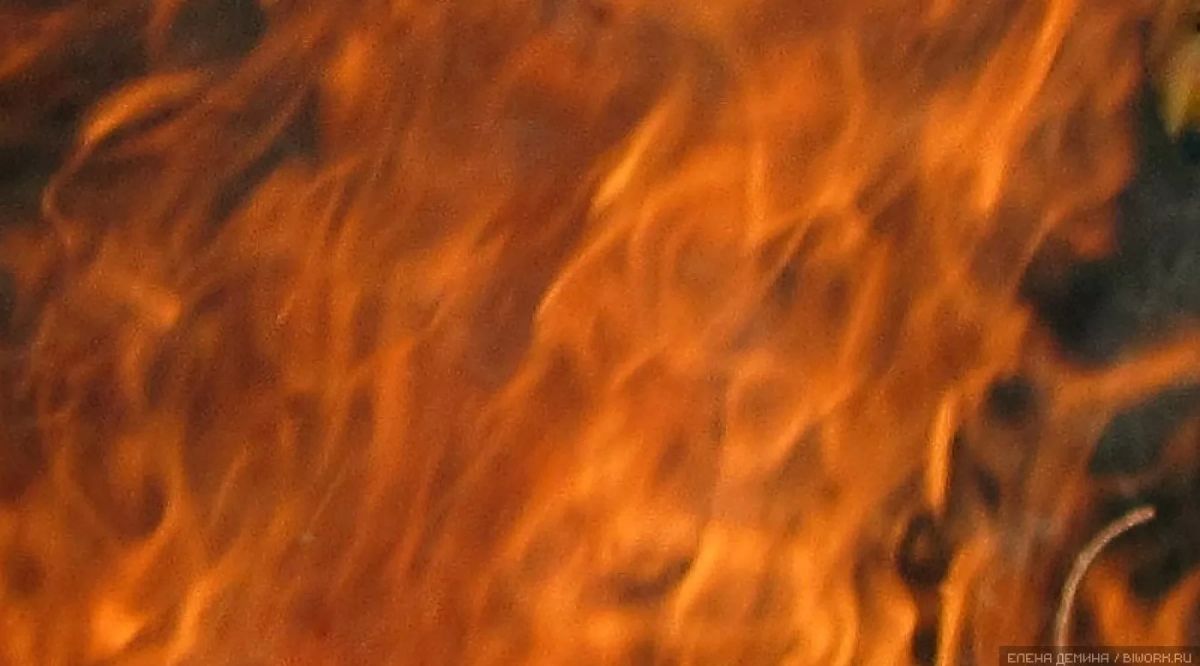 Штормовое предупреждение в связи с высокой пожароопасностью продлили в Алтайском крае