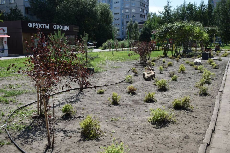 Сиреневый бульвар в Барнауле продолжают благоустраивать Сиреневый бульвар в Барнауле продолжают благоустраивать