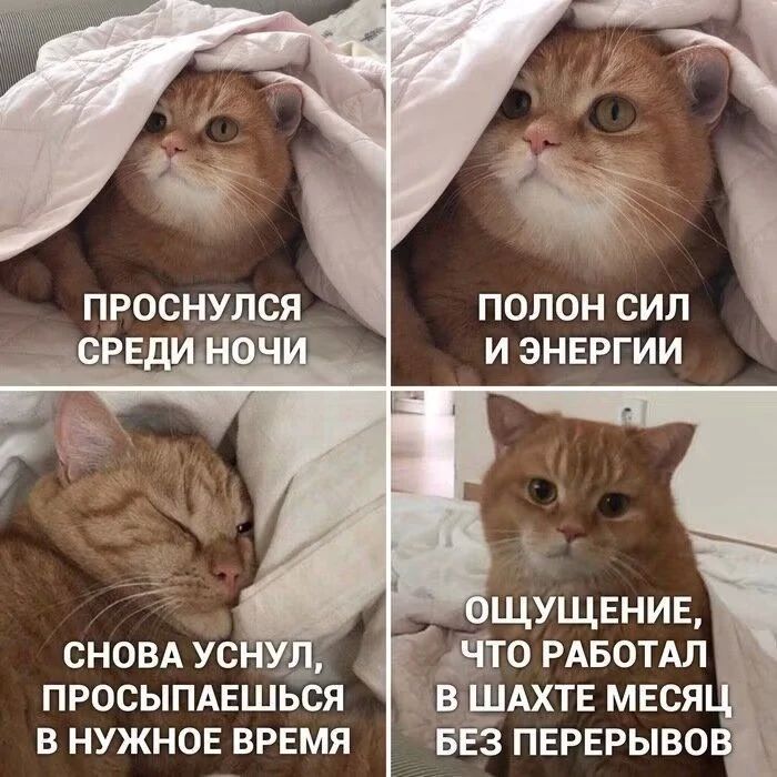 Доброе утро, Алтайский край!