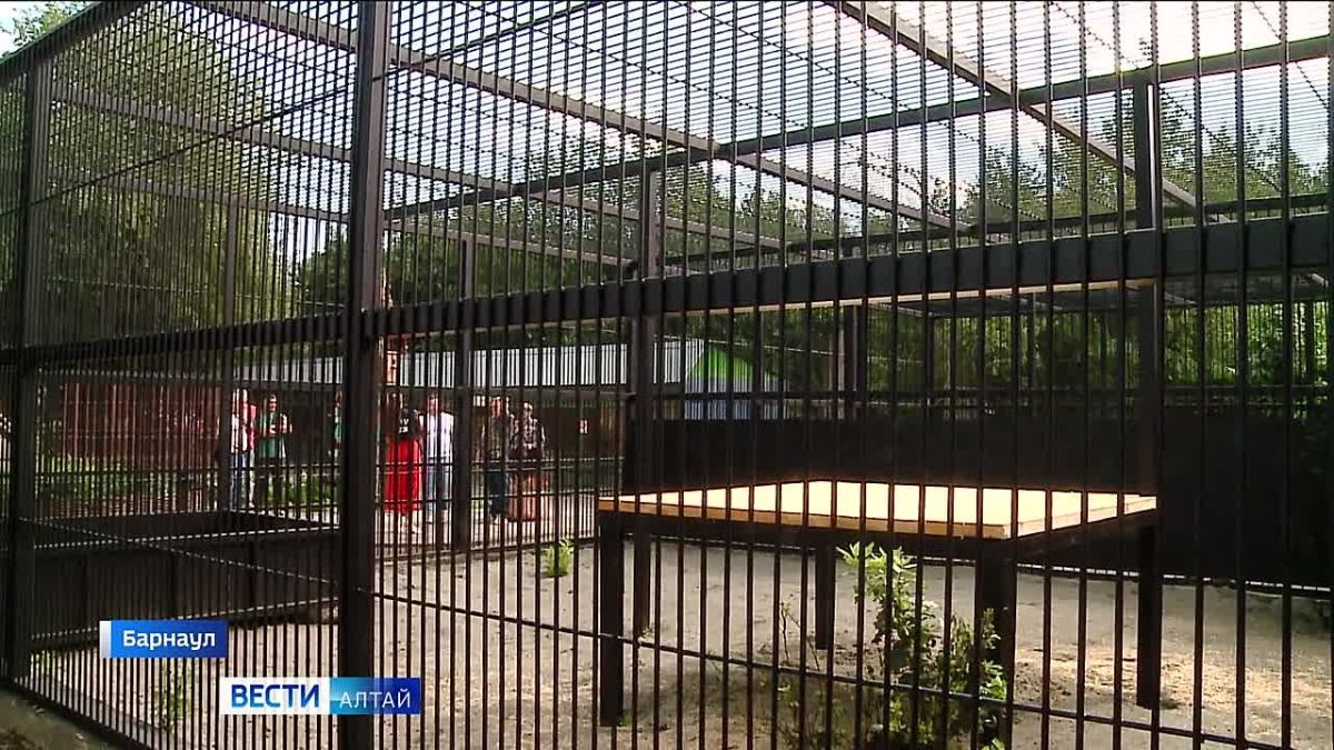 В барнаульском зоопарке установили два просторных вольера для детёнышей снежного барса